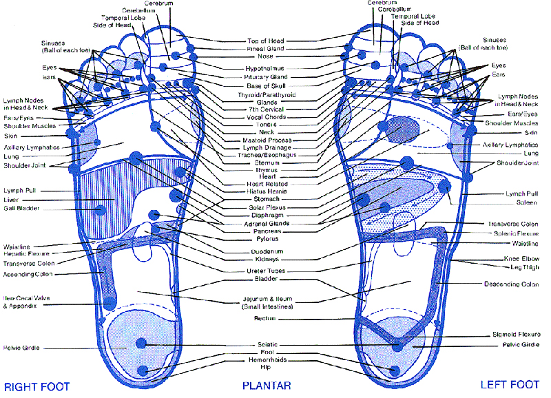 foot reflexology chart