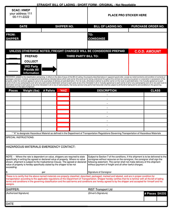 Great Professional Straight Bill of Lading Template 04 as Pdf File
