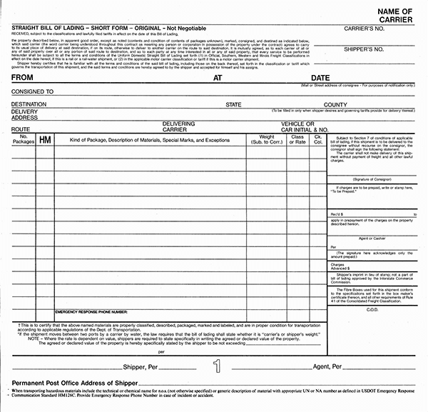 Great Professional Straight Bill of Lading Template 06 as Pdf File