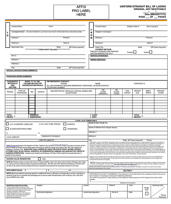 Great Professional Straight Bill of Lading Template 11 as Pdf File