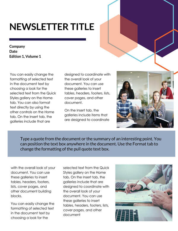 Professional Newsletter Template Example