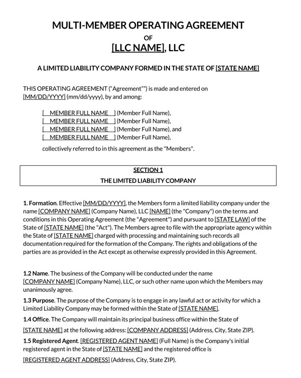 Free Printable Multi Member LLC Operating Agreement Template 02 for Word File