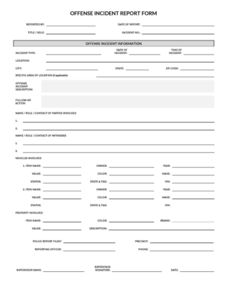 How to Write a Police Report (Pro Examples & Templates)
