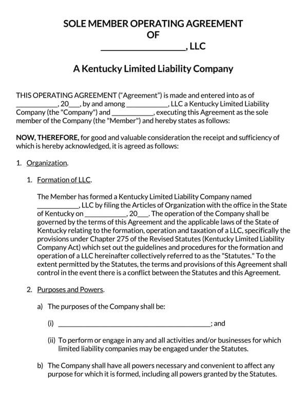 Single-Member-LLC-Operating-Agreement