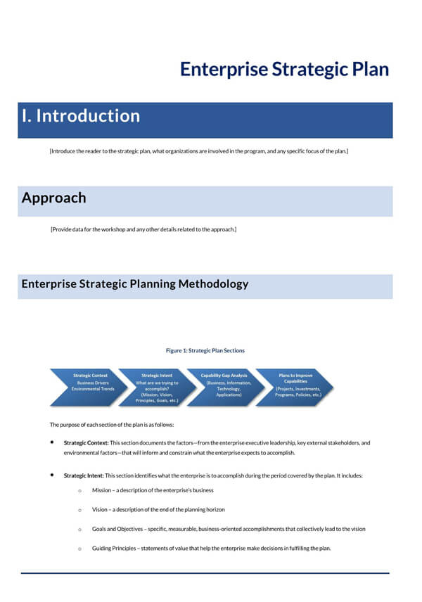 Enterprise Strategic Plan template