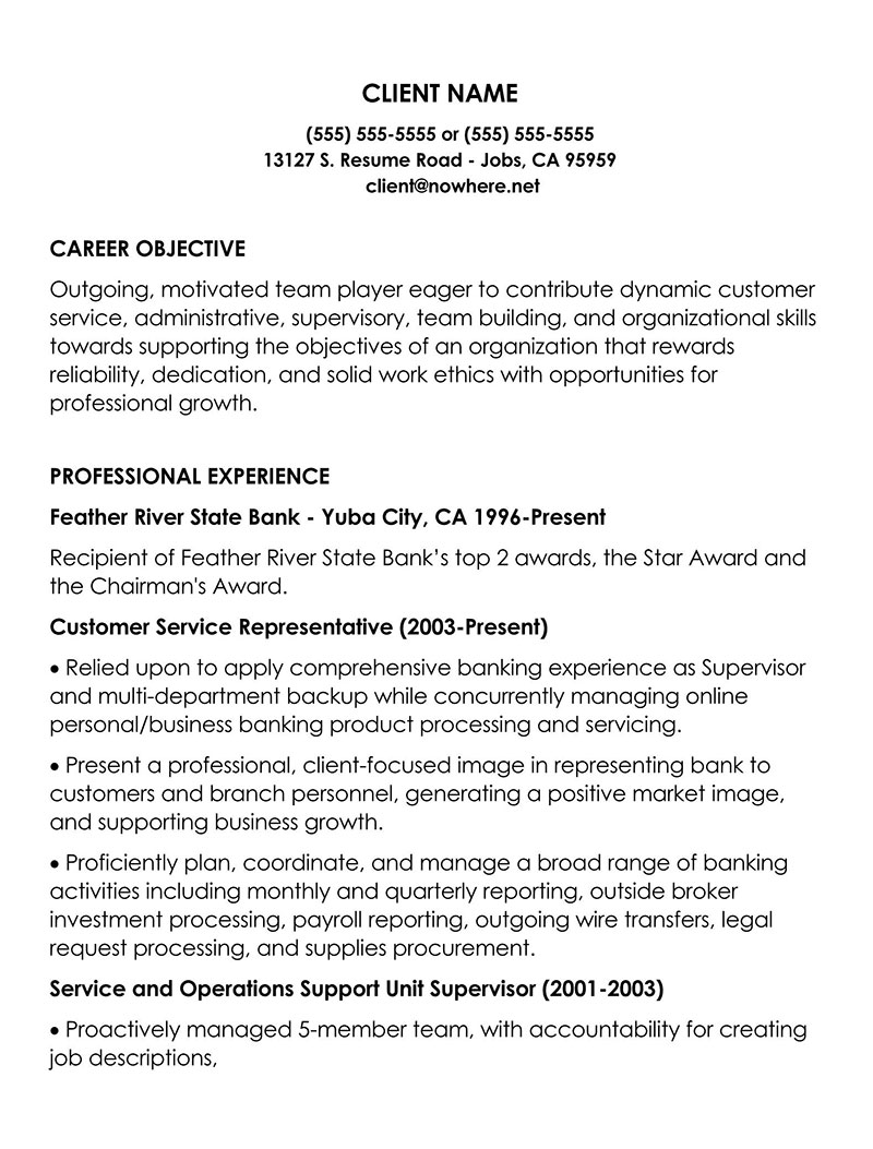 professional summary resume sample for customer service