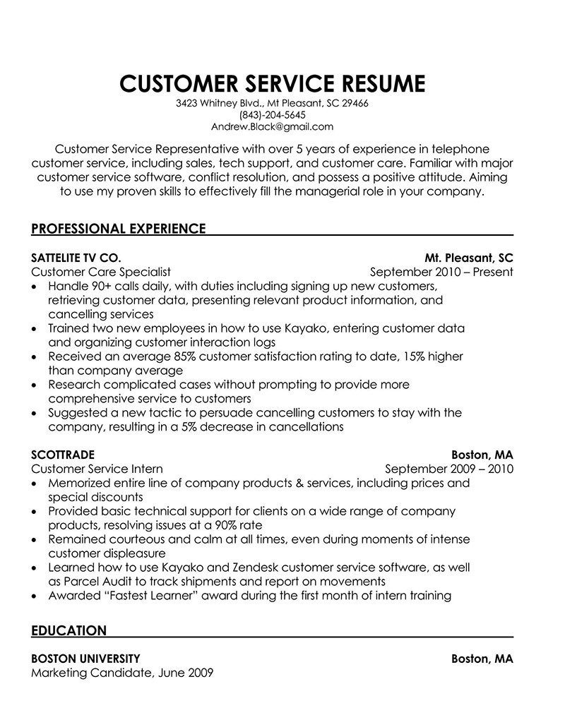 Customer Service Resume Form Sample