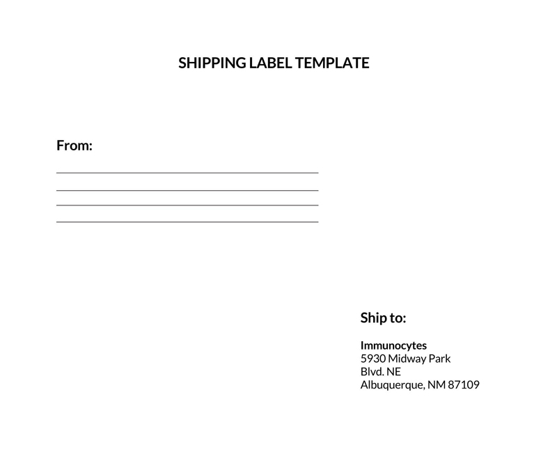 Printable Shipping Label Template - Free Download