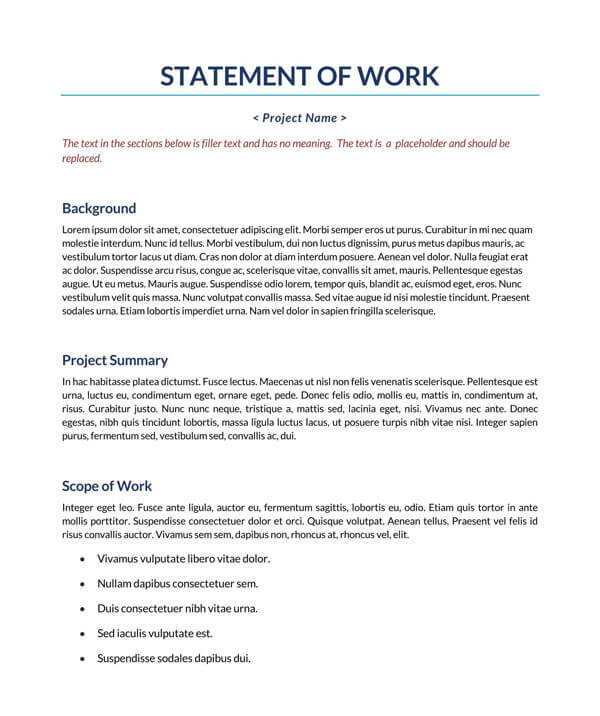 "Professional Statement of Work Format"
