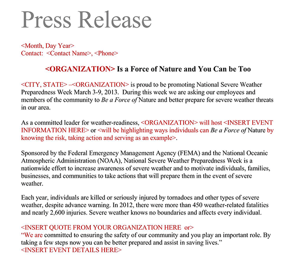 Free Editable Press Release Template 29 as Word Format