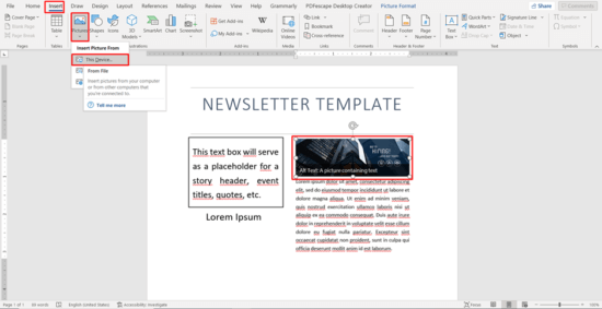 Newsletter Template Image Insertion 