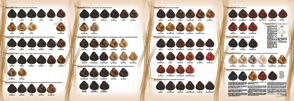 Redken Shades EQ Color Chart - Premium Printable Example