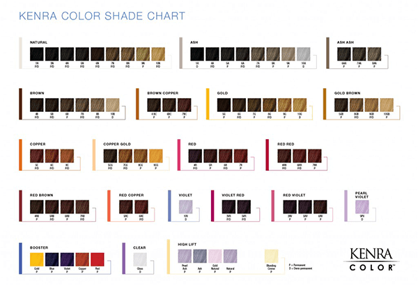 Redken Shades EQ Color Chart - Visual Guide Sample