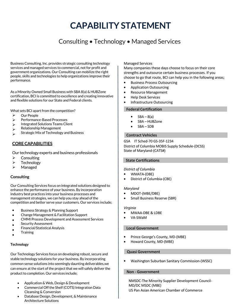 Free Comprehensive Business Capability Statement Sample as Word File