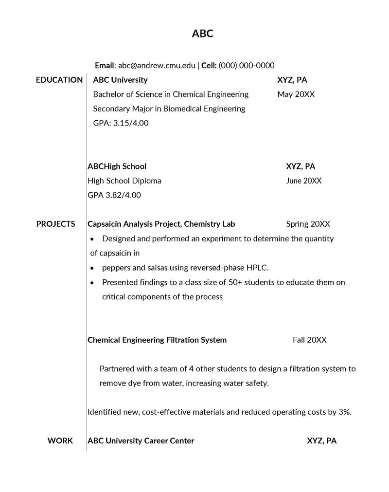 cv for university application undergraduate template