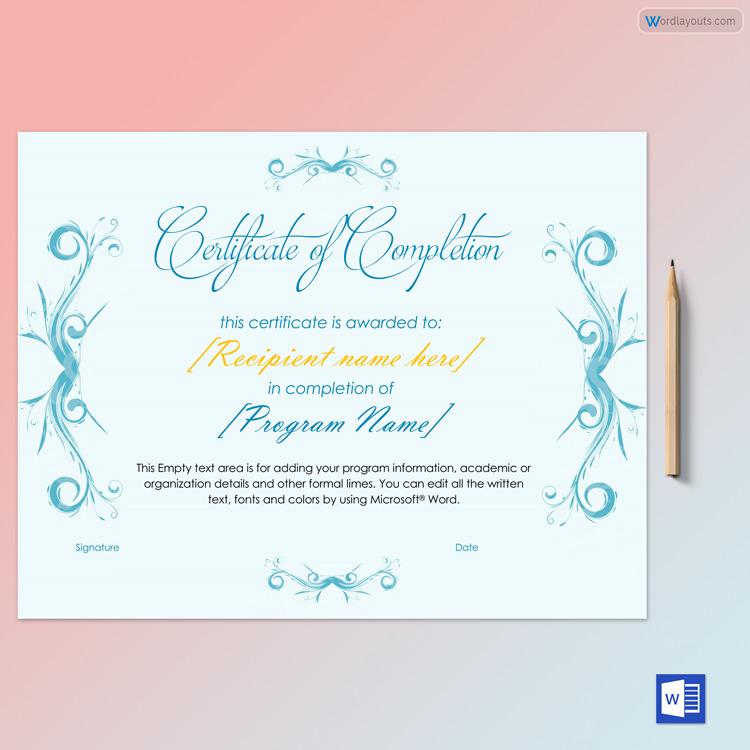 Certificate of Completion Template Example