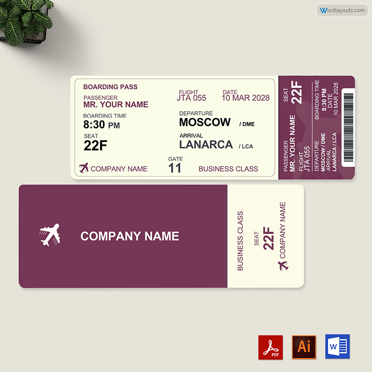 Aeroplane Ticket Sample
