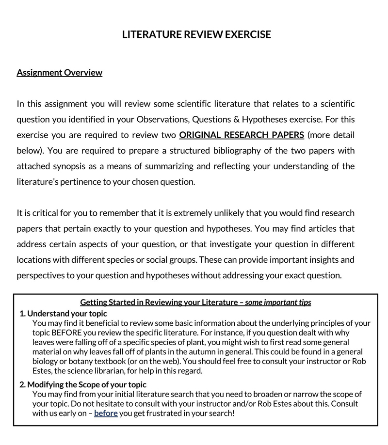 literature review template apa