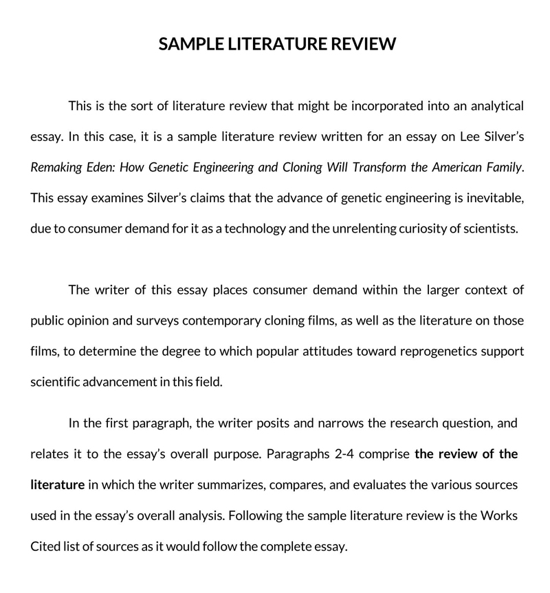 analysis of literature review example