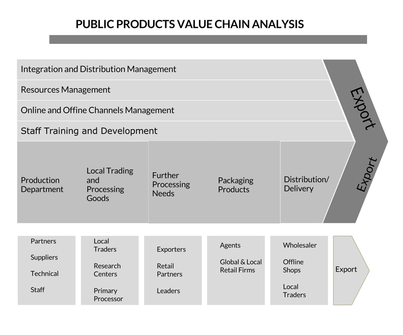 porter's value chain analysis example