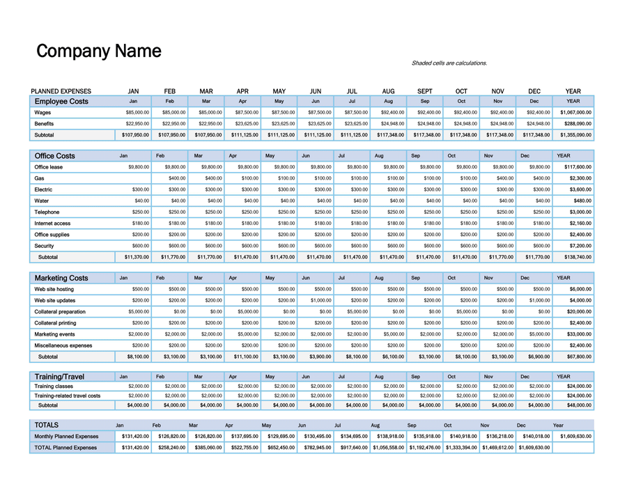 Company Record Sheet 