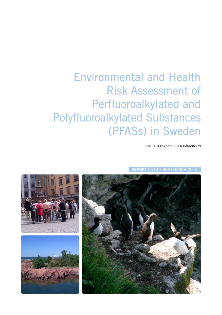 Free Printable Environmental and Health Risk Assessment Example as Pdf File