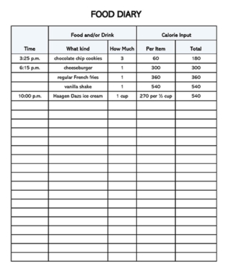 Food Tracking Log Example Free Food Log Templates (Track your Diet) | Excel, Word