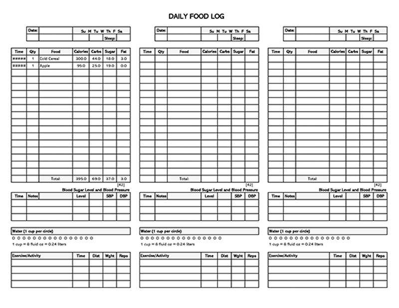 "Example of a food log template for diet monitoring"