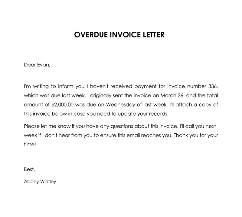 Professional Invoice Example