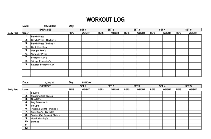 Great Workout Log Template 11 as Excel Format