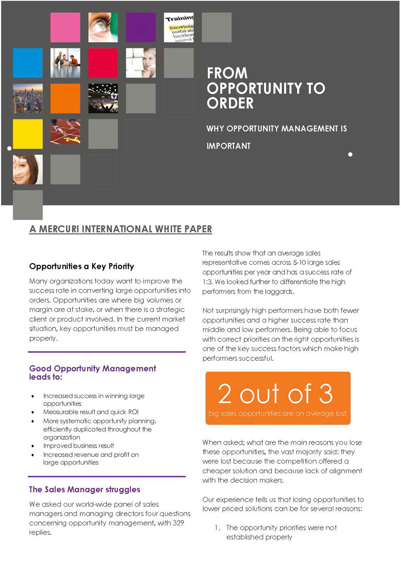 Great Downloadable A Mercury International White Paper Outline Template for Word File