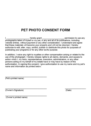40 Free Model Release (Photo Copyright) Forms | PDF - Word