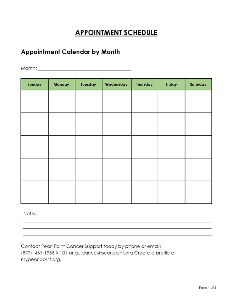 Professional Customizable Monthly Appointment Schedule Template for Word Document