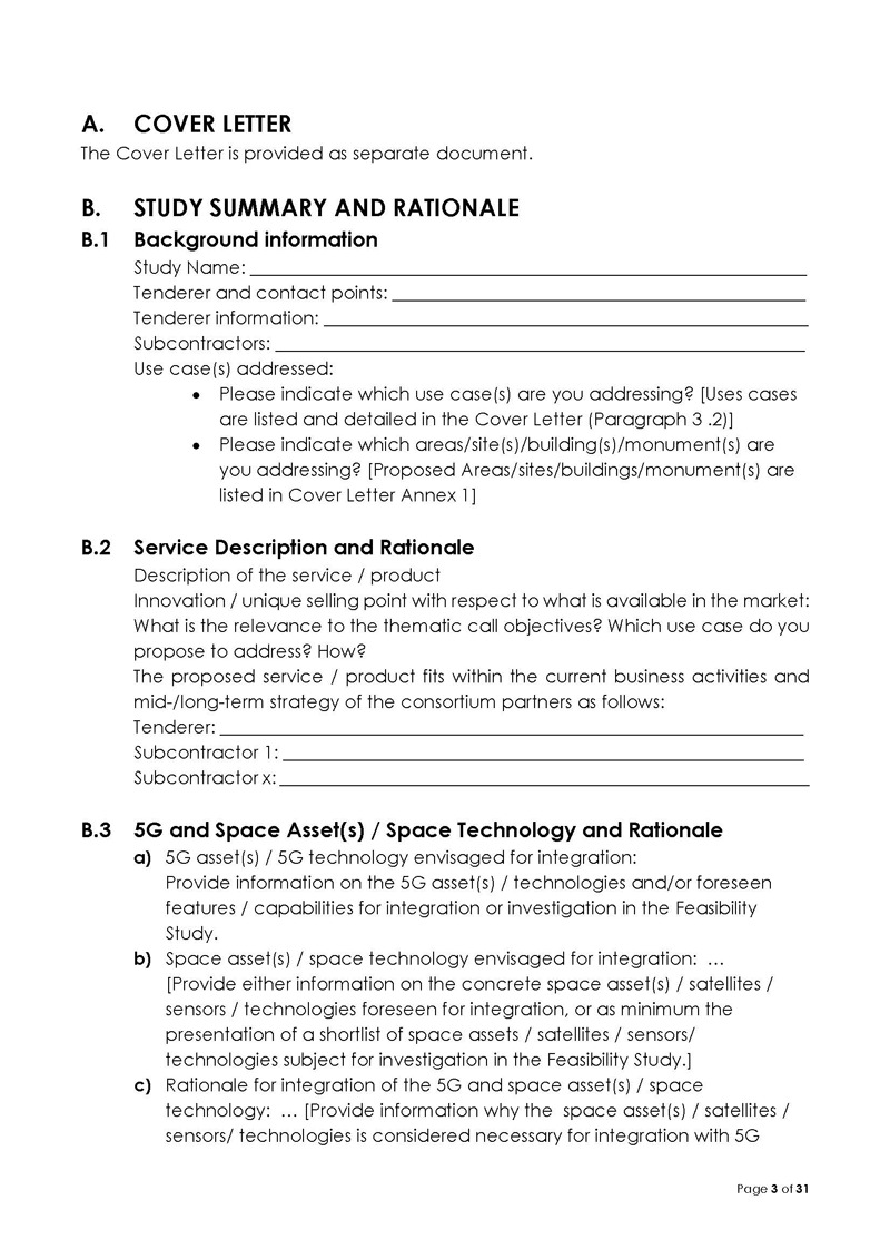 feasibility study template word