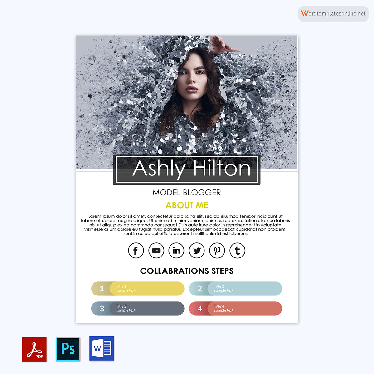 Great Downloadable Model Blogger Media Kit Template for Word and Adobe Format