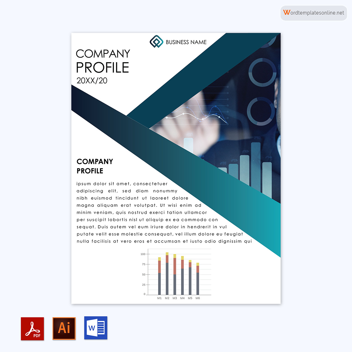 Free Company Profile Template - Download in Word, PDF, Adobe Illustrator 12