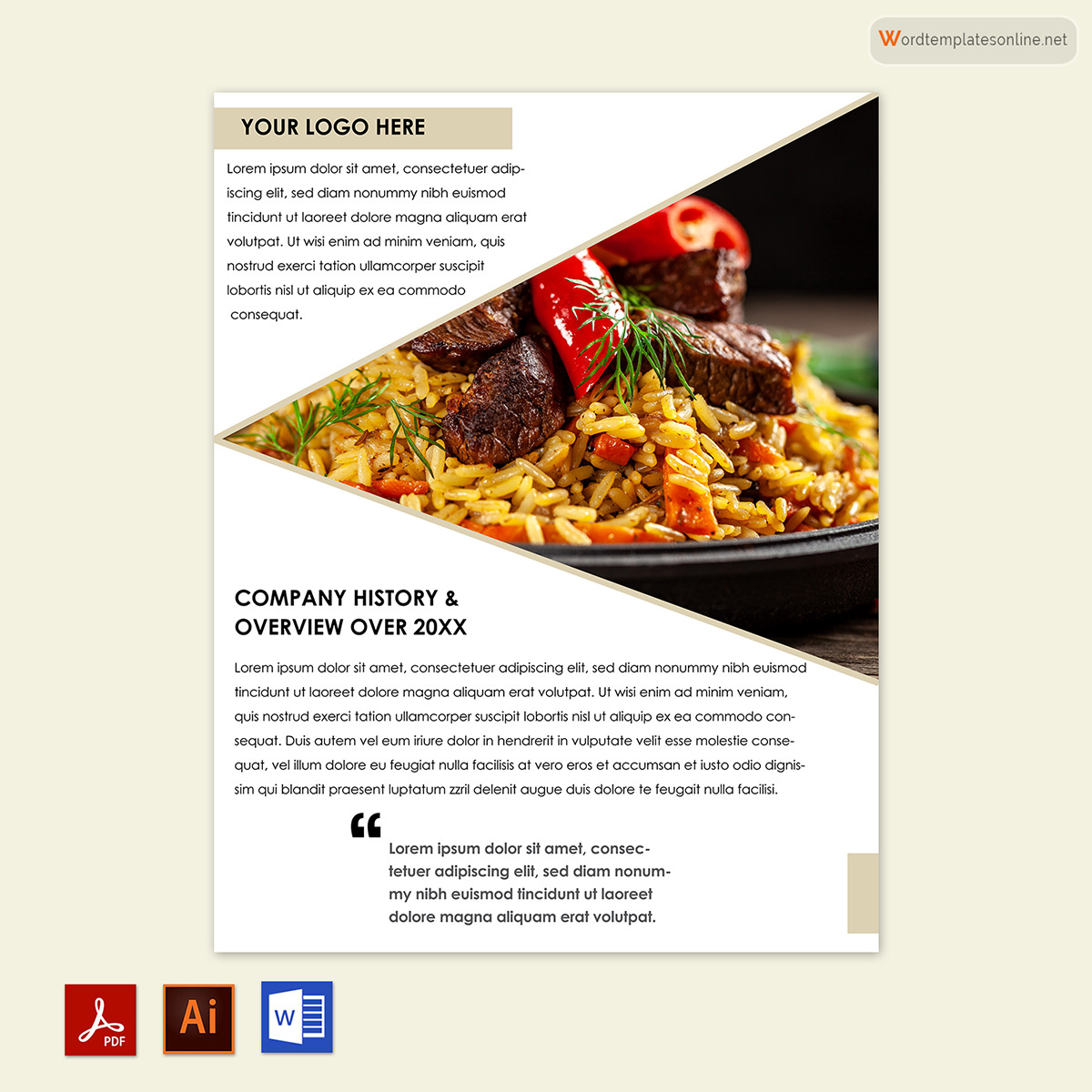 Free Company Profile Template - Download in Word, PDF, Adobe Illustrator 15