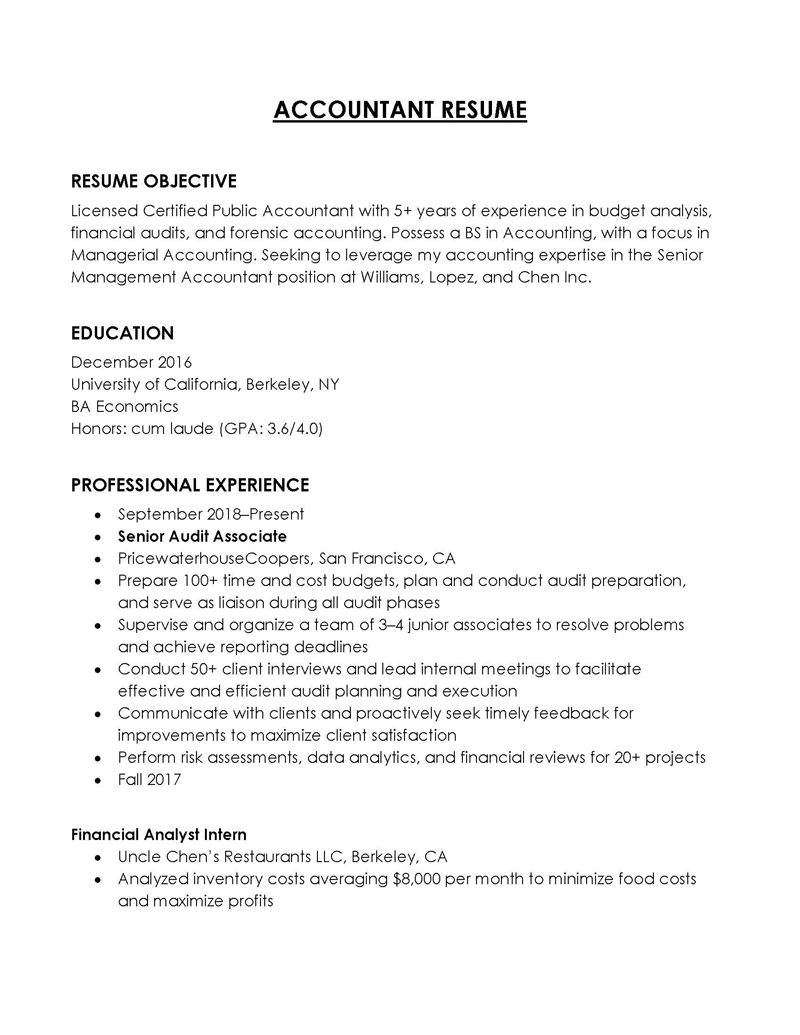 accountant resume with erp experience