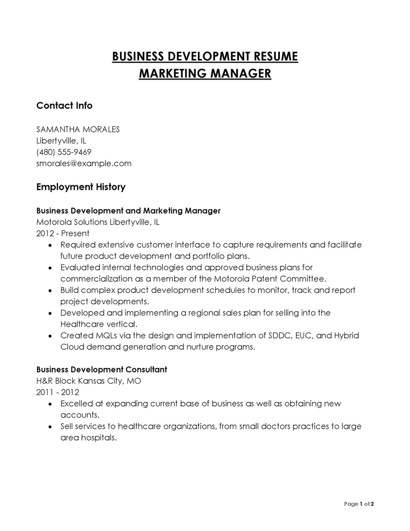 Free Printable Business Development Manager Resume Example 04 as Word File
