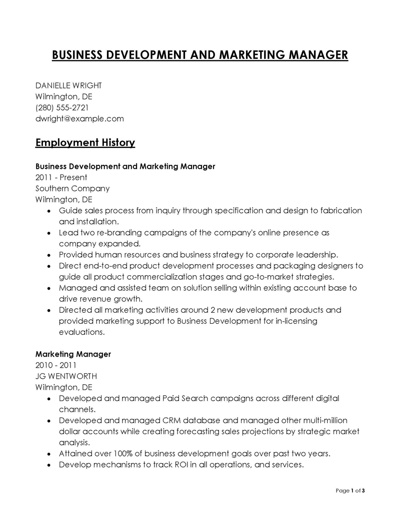 Free Printable Business Development Manager Resume Example 07 as Word File