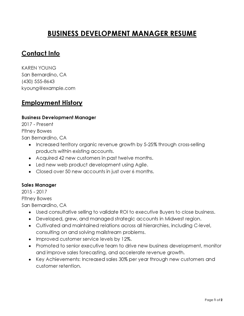 Free Printable Business Development Manager Resume Example 09 as Word File