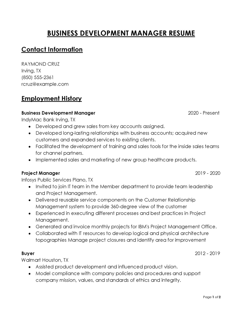 Free Printable Business Development Manager Resume Example 11 as Word File