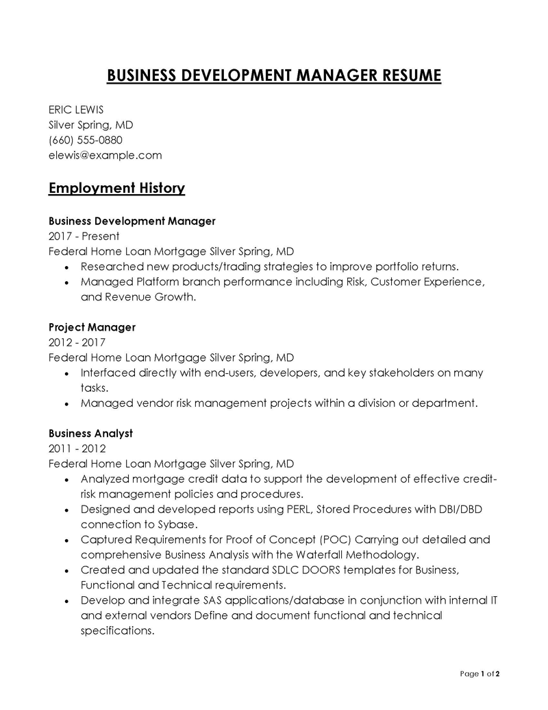 Free Printable Business Development Manager Resume Example 12 as Word File