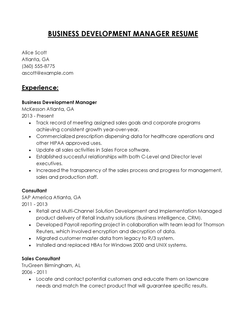 Free Printable Business Development Manager Resume Example 13 as Word File
