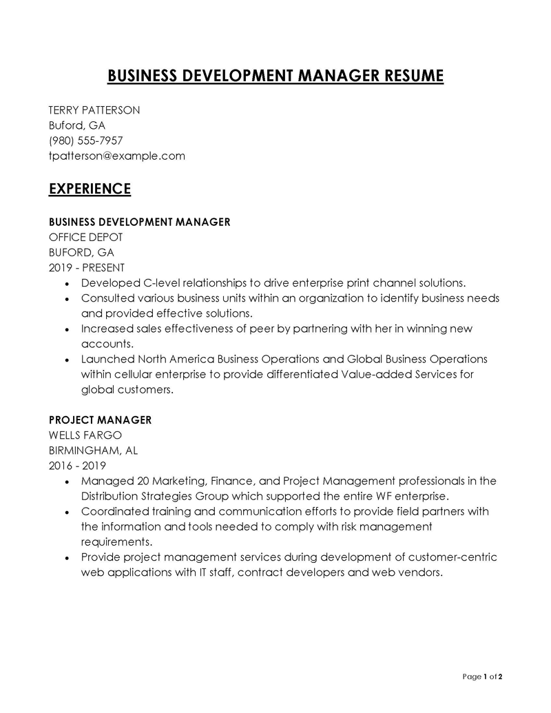 Great Editable Business Development Manager Resume Example 16 as Word File