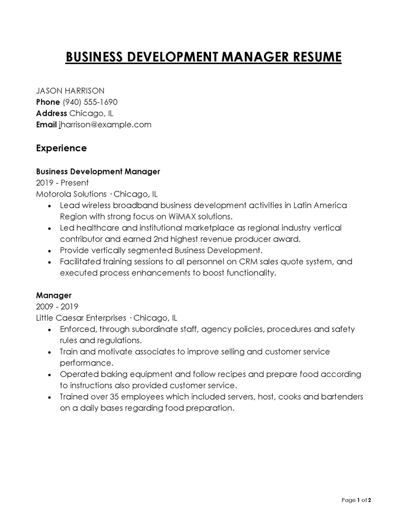 Great Editable Business Development Manager Resume Example 18 as Word File