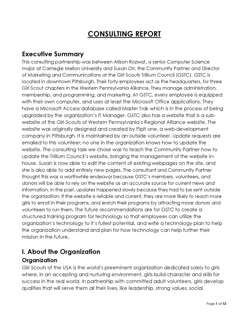 Great Editable General Consultancy Report Template 04 as Word Document
