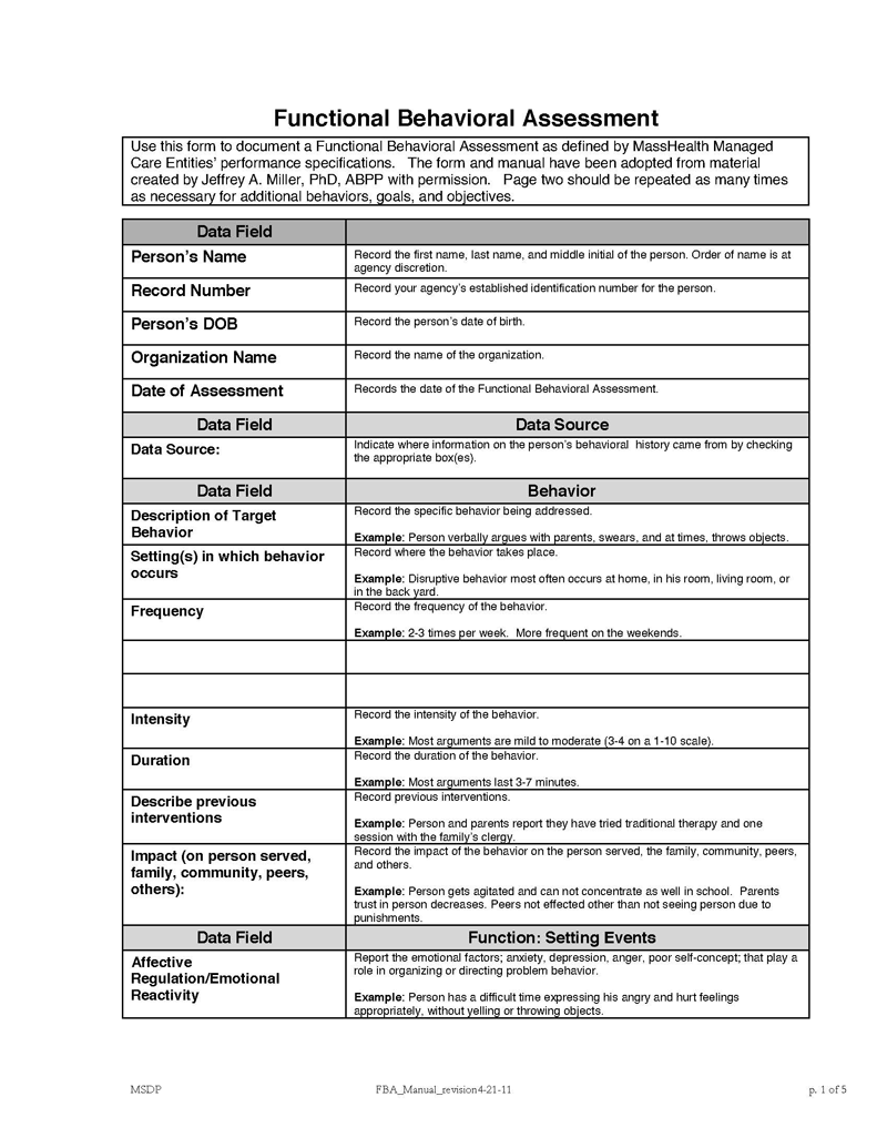 Professional Downloadable Functional Behavioral Assessment Template 02 as Pdf File