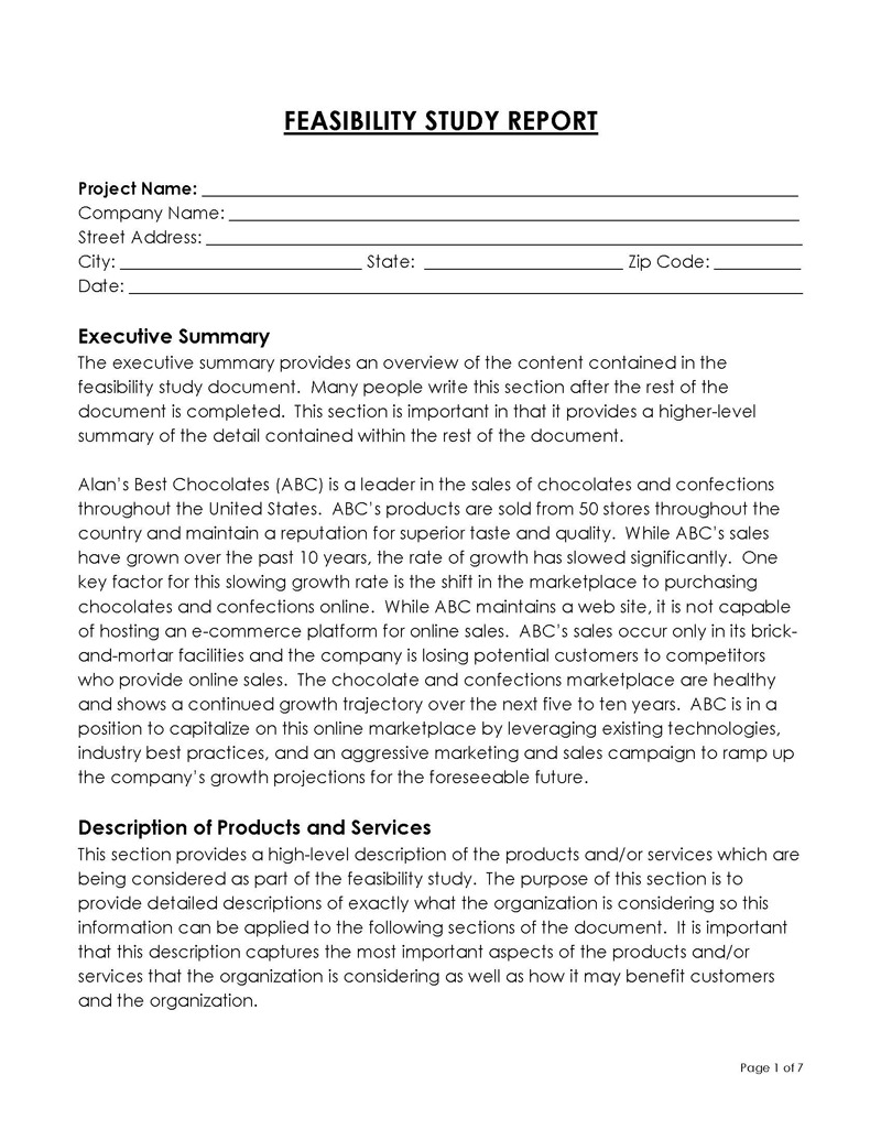  feasibility study template free