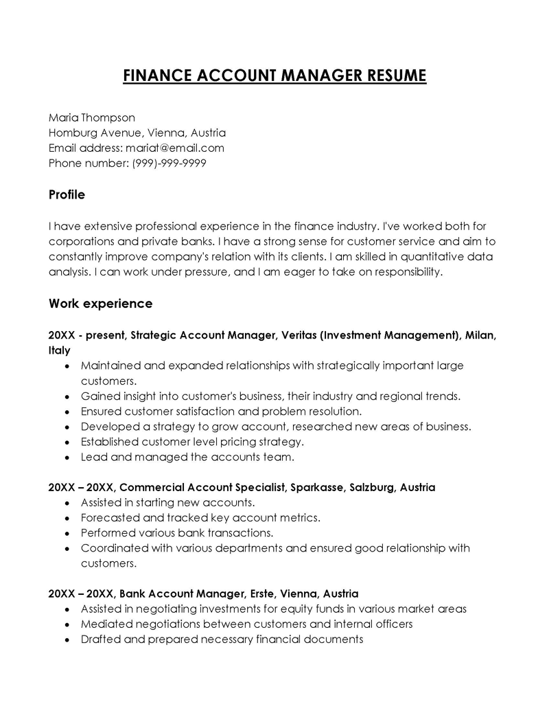 Finance Account Manager Resume